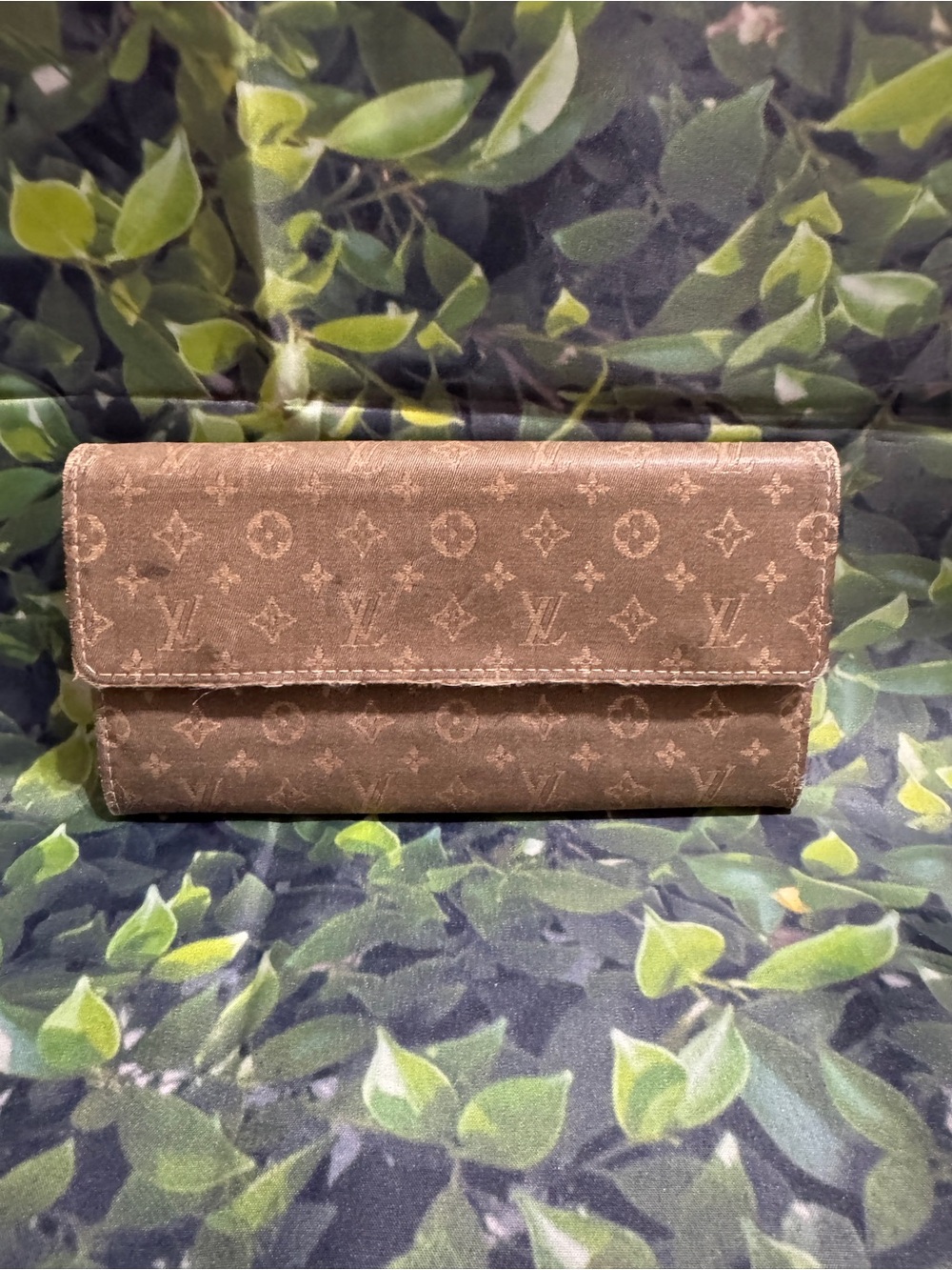 Louis Vuitton Rare Min Lin Wallet